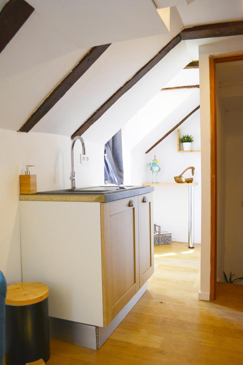 Manoir Drissia - Tours Centre, France Hotel แซงต์-อแวร์แตง ภายนอก รูปภาพ